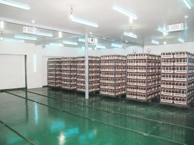 二道河整治工程